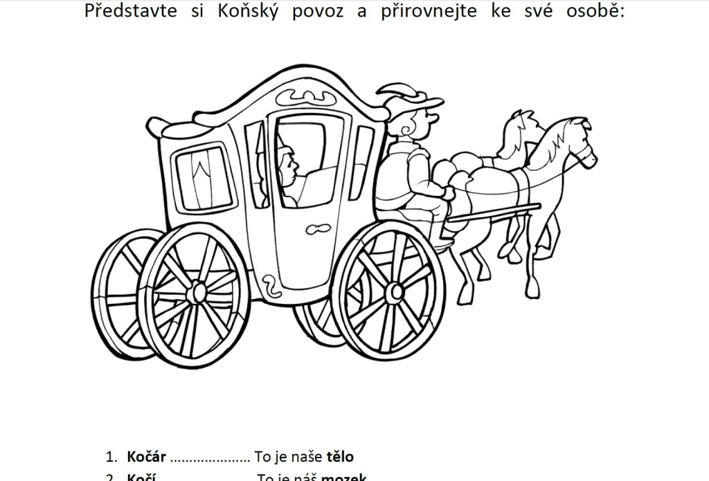 Vnitřní kompas: stres a odolnost pod tlakem