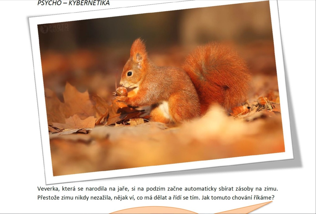 Vnitřní kompas: stres a odolnost pod tlakem