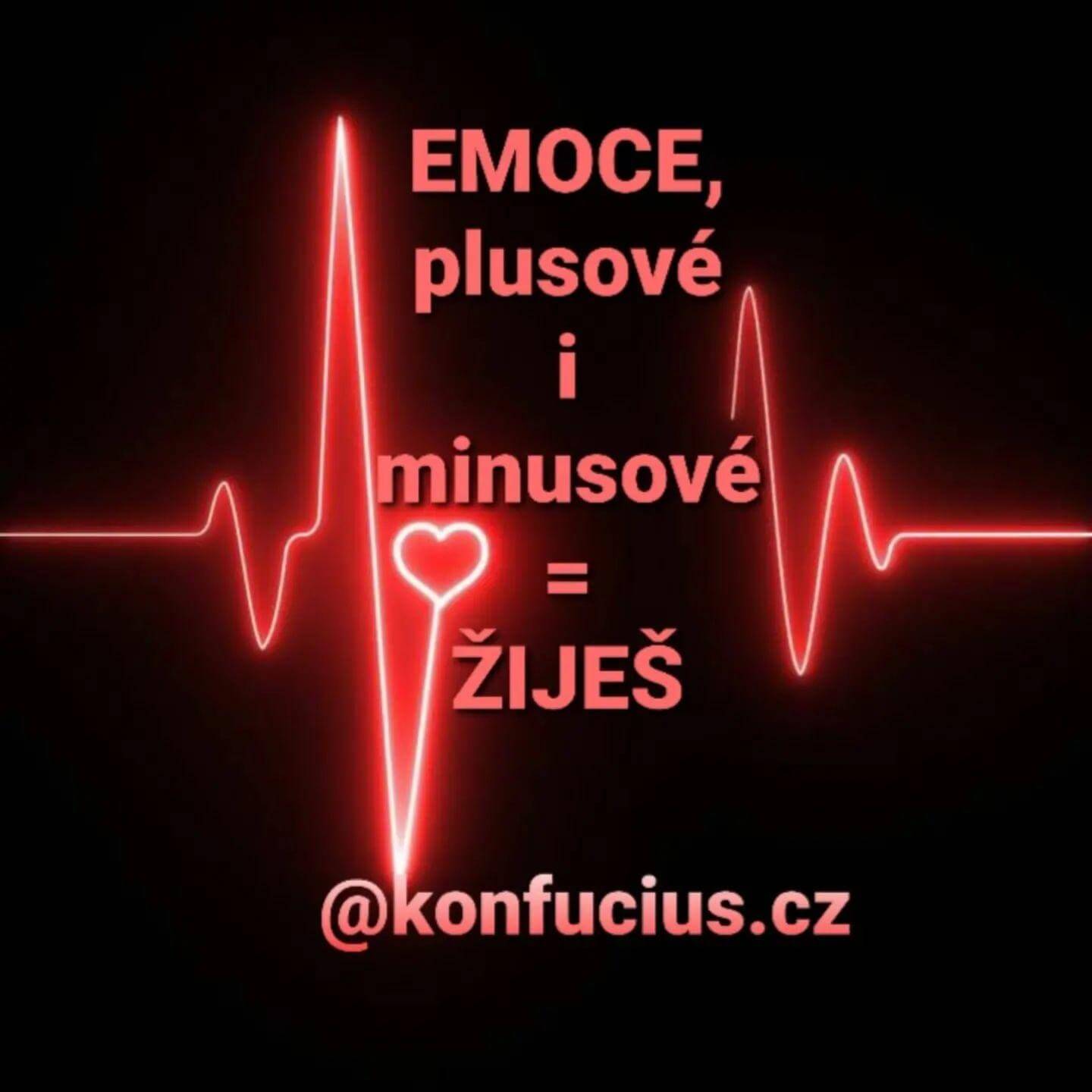 Emoční inteligence