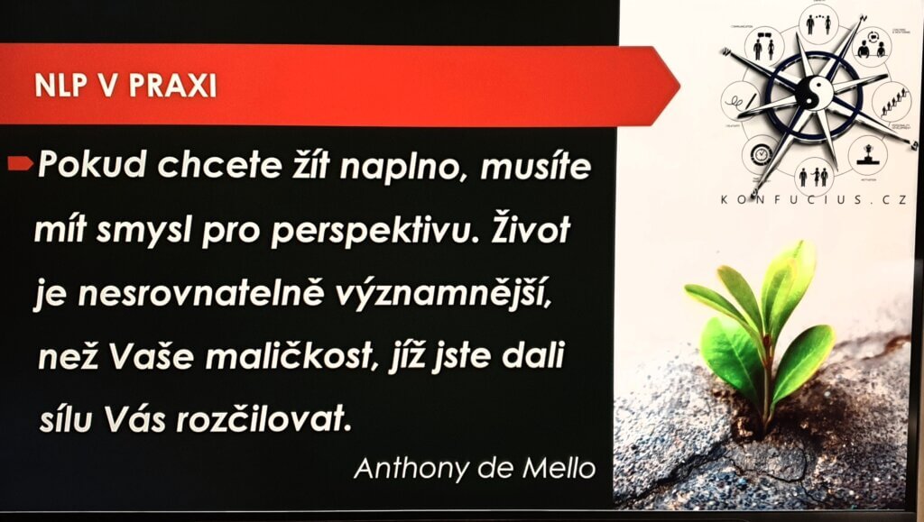Vyjednávání a argumentace