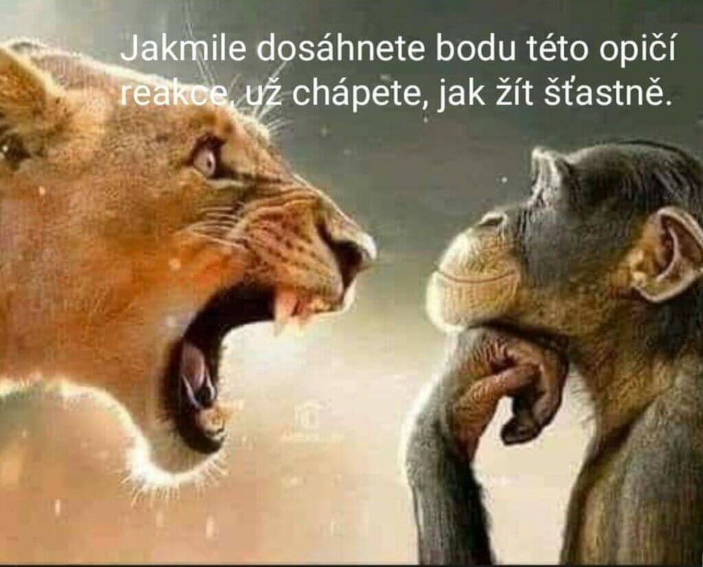Konflikt